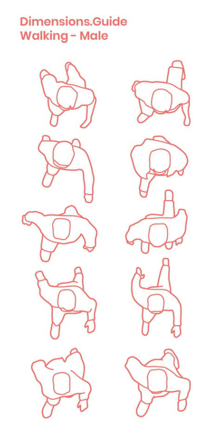 动画设计图